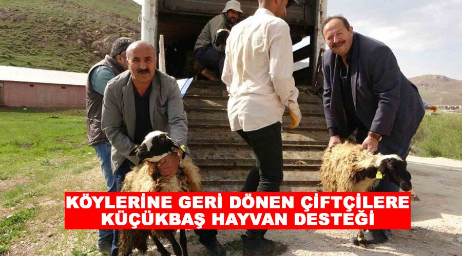 Köylerine geri dönen çiftçilere küçükbaş hayvan desteği