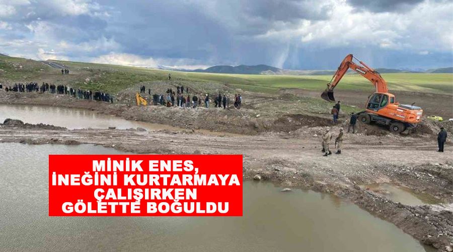 Minik Enes, ineğini kurtarmaya çalışırken gölette boğuldu