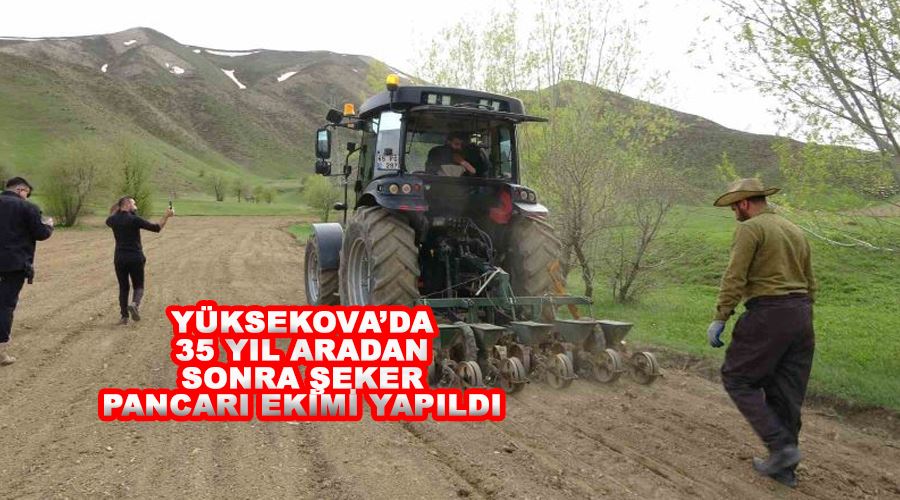 Yüksekova’da 35 yıl aradan sonra şeker pancarı ekimi yapıldı