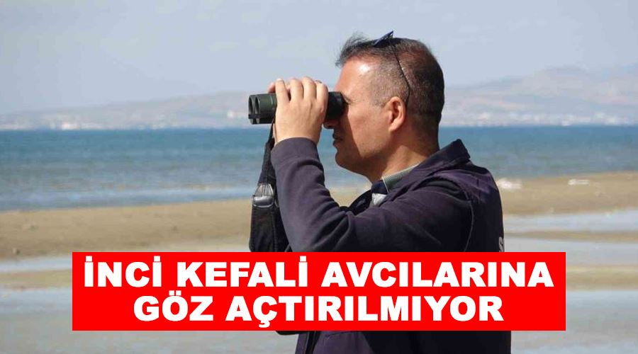 İnci kefali avcılarına göz açtırılmıyor