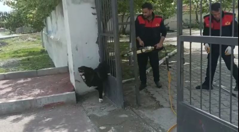 Ağrı’da demir kapıya sıkışan köpeği itfaiye kurtardı
