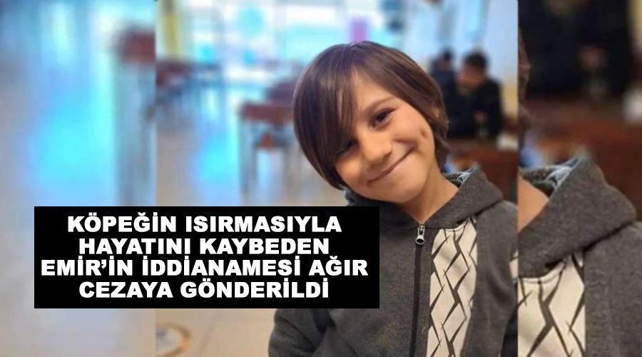 Köpeğin ısırmasıyla hayatını kaybeden Emir’in iddianamesi ağır cezaya gönderildi