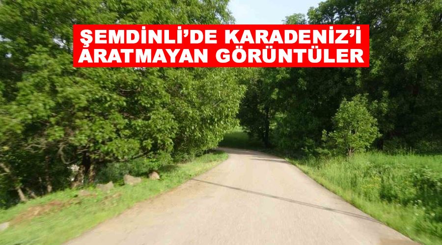 Şemdinli’de Karadeniz’i aratmayan görüntüler