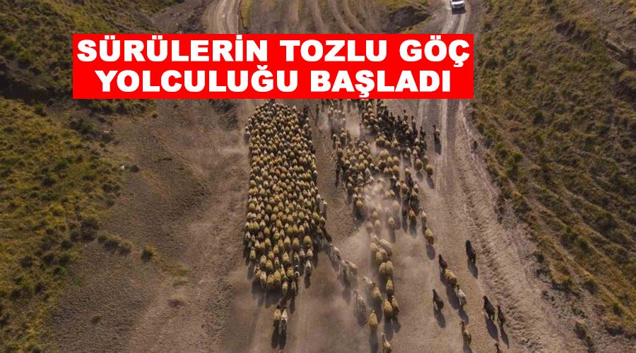 Sürülerin tozlu göç yolculuğu başladı