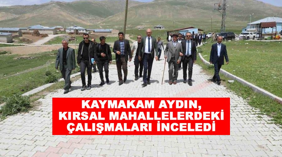 Kaymakam Aydın, kırsal mahallelerdeki çalışmaları inceledi