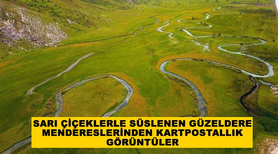 Sarı çiçeklerle süslenen Güzeldere mendereslerinden kartpostallık görüntüler