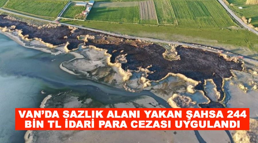 Van’da sazlık alanı yakan şahsa 244 bin TL idari para cezası uygulandı