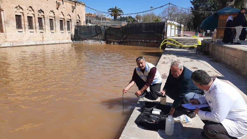 Elazığ Su Ürünleri Araştırma Enstitüsü, Balıklıgöl’de inceleme yaptı
