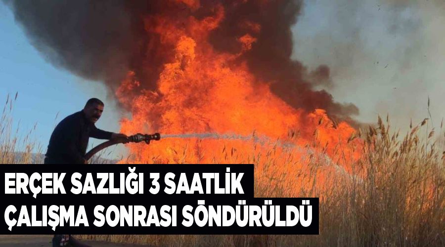 Erçek sazlığı 3 saatlik çalışma sonrası söndürüldü