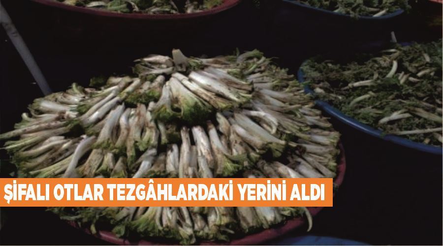 Şifalı otlar tezgâhlardaki yerini aldı