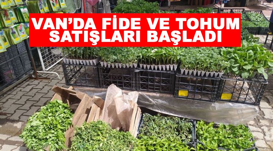 Van’da fide ve tohum satışları başladı