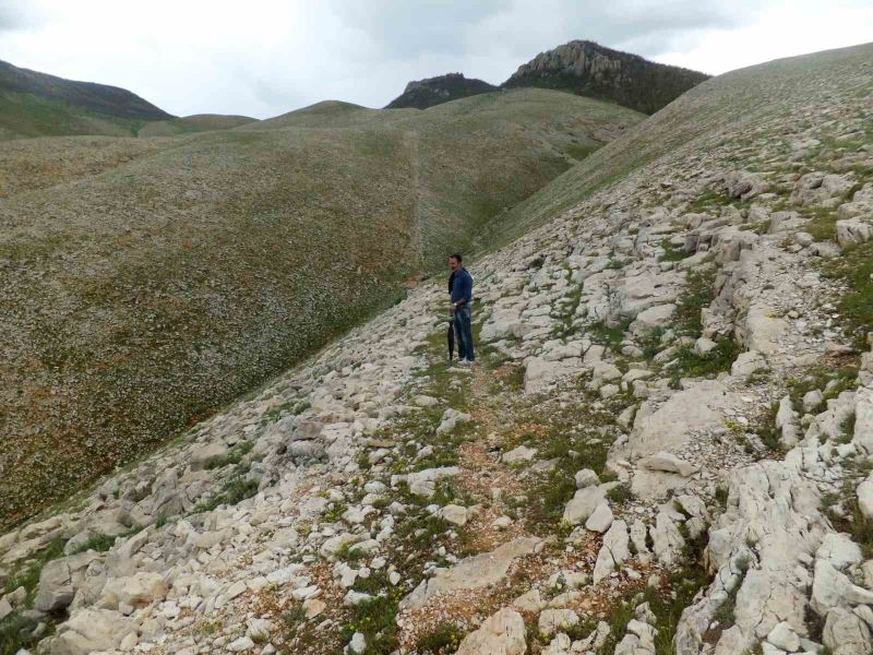 Tunceli’de, 3 bin yıl önceye ait olduğu düşünülen yol bulundu
