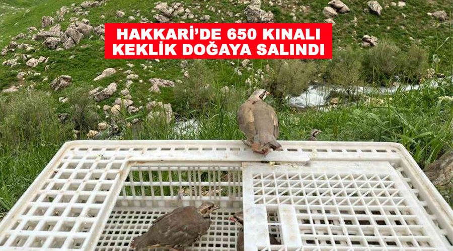 Hakkari’de 650 kınalı keklik doğaya salındı