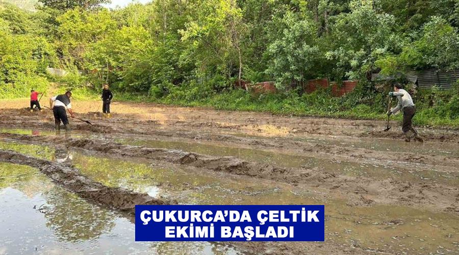 Çukurca’da çeltik ekimi başladı