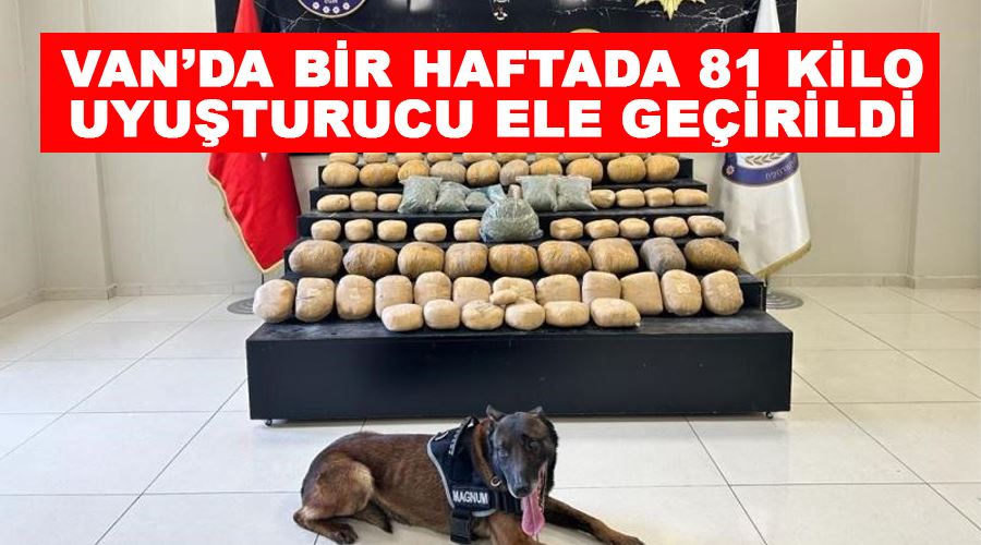 Van’da bir haftada 81 kilo uyuşturucu ele geçirildi