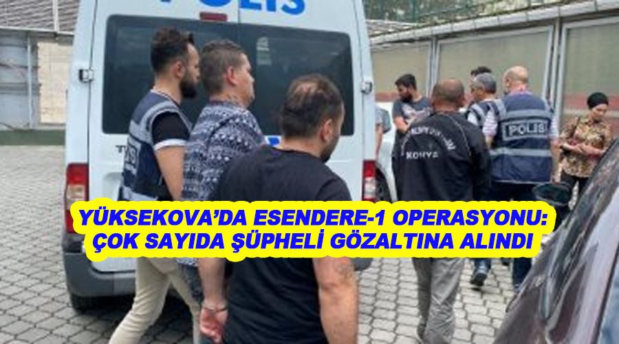 Yüksekova’da Esendere-1 Operasyonu: Çok sayıda şüpheli gözaltına alındı