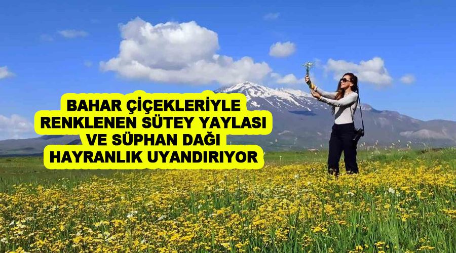 Bahar çiçekleriyle renklenen Sütey Yaylası ve Süphan Dağı hayranlık uyandırıyor