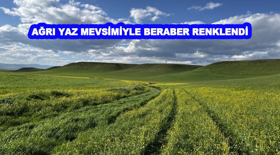 Ağrı yaz mevsimiyle beraber renklendi