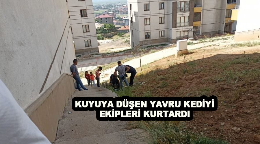 Kuyuya düşen yavru kediyi ekipleri kurtardı