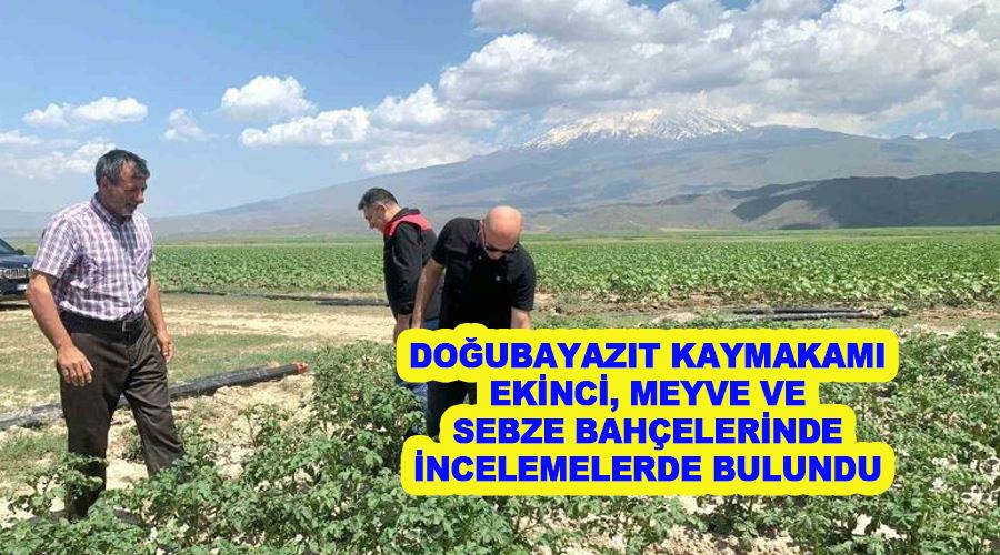 Doğubayazıt Kaymakamı Ekinci, meyve ve sebze bahçelerinde incelemelerde bulundu