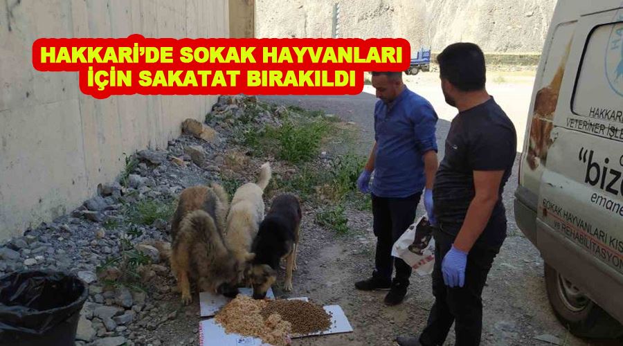 Hakkari’de sokak hayvanları için sakatat bırakıldı