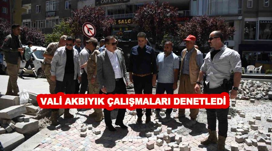 Vali Akbıyık çalışmaları denetledi