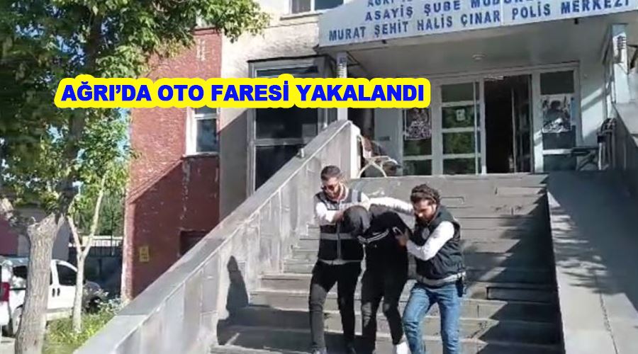 Ağrı’da oto faresi yakalandı