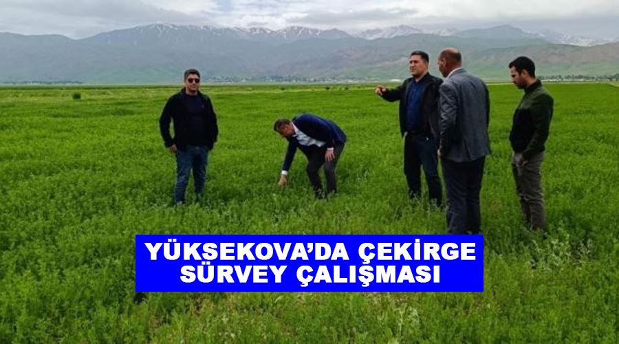 Yüksekova’da çekirge sürvey çalışması