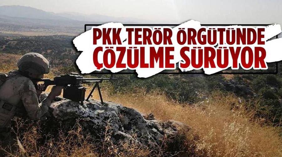 Hakkari’de terör örgütü PKK mensubu 1 kişi teslim oldu