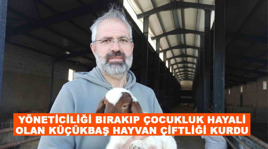 Yöneticiliği bırakıp çocukluk hayali olan küçükbaş hayvan çiftliği kurdu