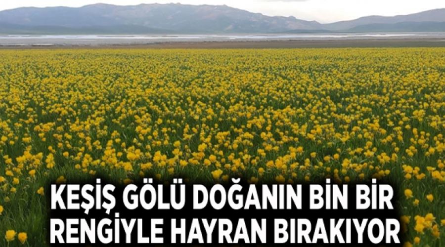 Keşiş Gölü doğanın bin bir rengiyle hayran bırakıyor