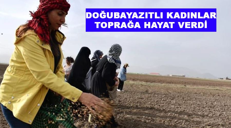 Doğubayazıtlı kadınlar toprağa hayat verdi