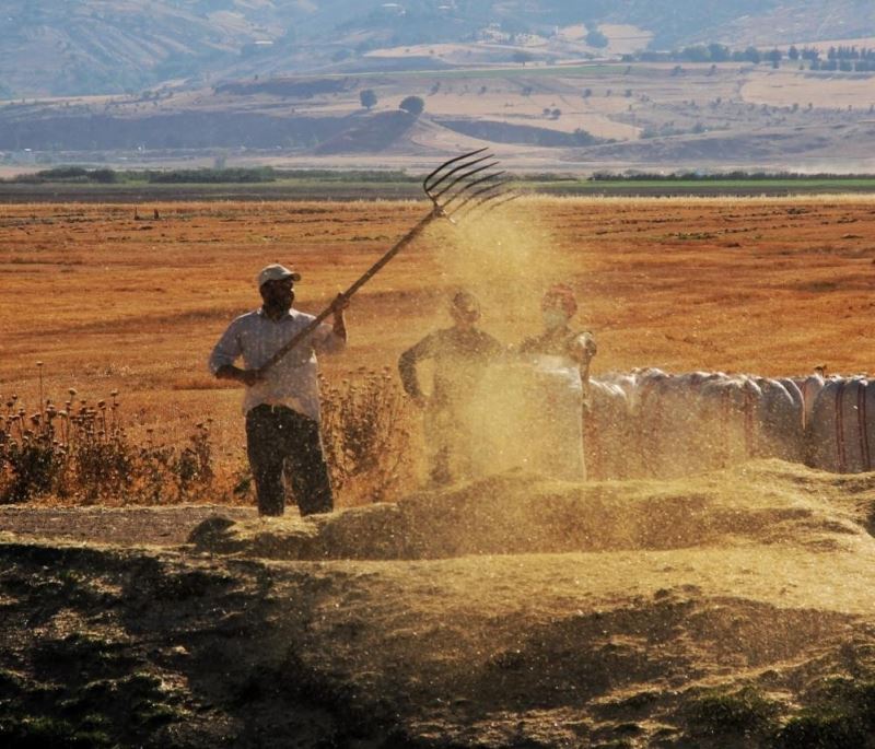 Tarımda üretici enflasyonu haziranda yüzde 57,93 oldu
