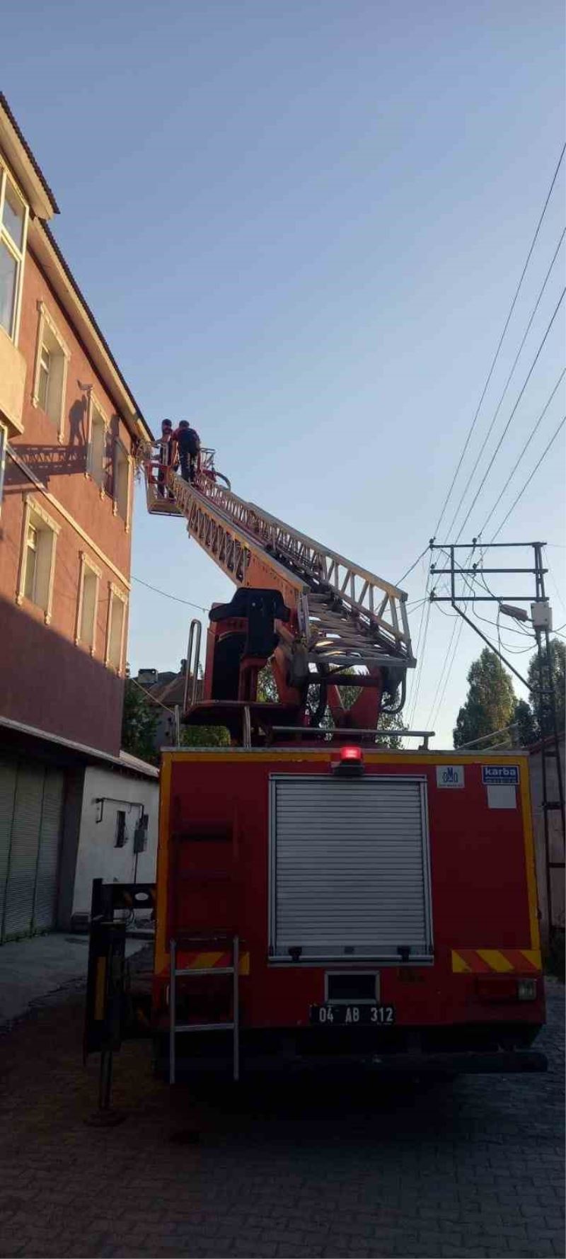 Çatıya sıkışan karga kurtarıldı
