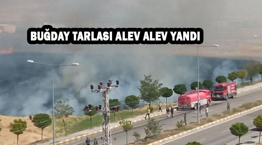 Buğday tarlası alev alev yandı