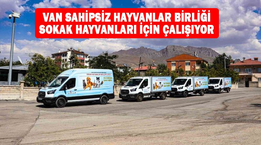 Van Sahipsiz Hayvanlar Birliği sokak hayvanları için çalışıyor