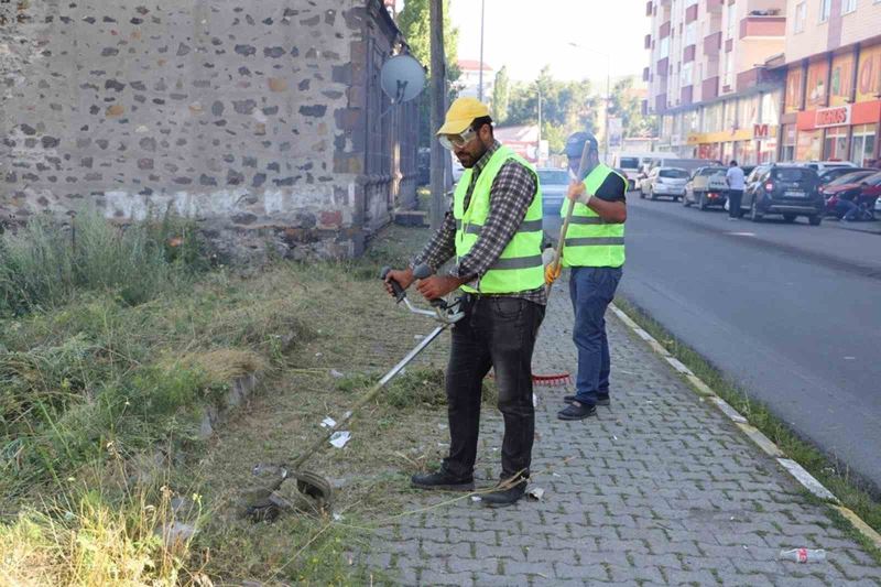 Ağaçlar budanıp yabani otlar temizlendi
