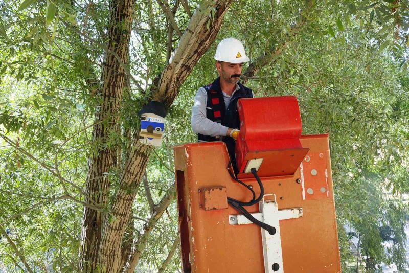 Atıl durumdaki elektrik panoları kuş yuvalarına dönüştürüldü
