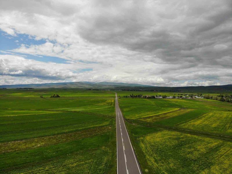 Kars rengarenk çiçek açtı
