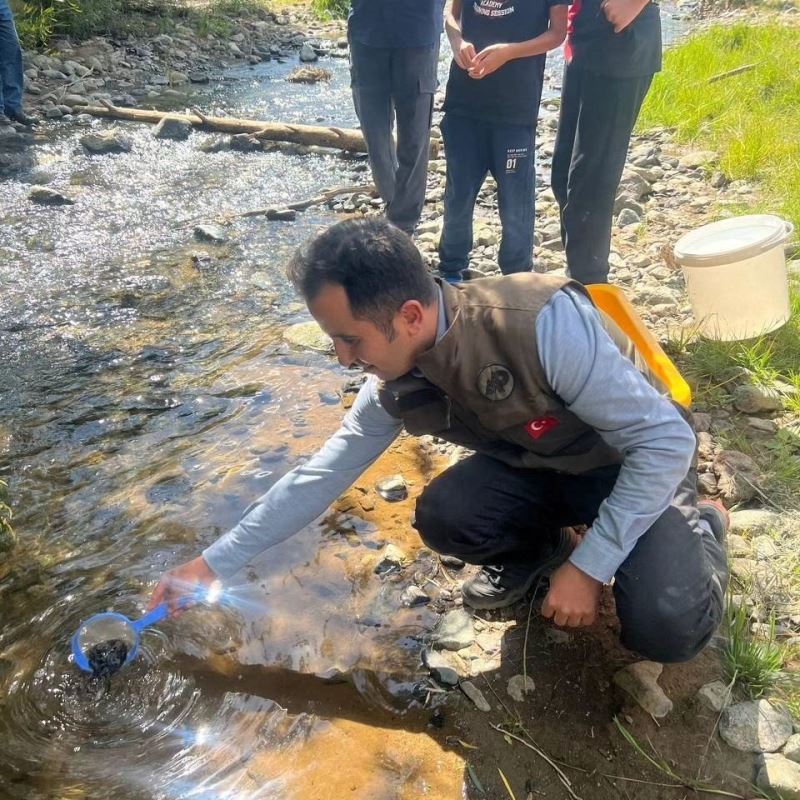 Kars’ta derelere alabalık bırakıldı
