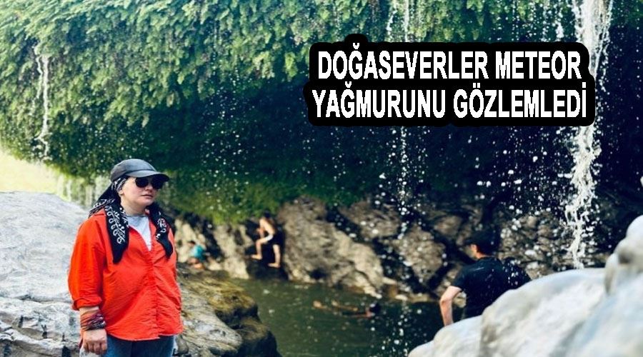 Doğaseverler meteor yağmurunu gözlemledi