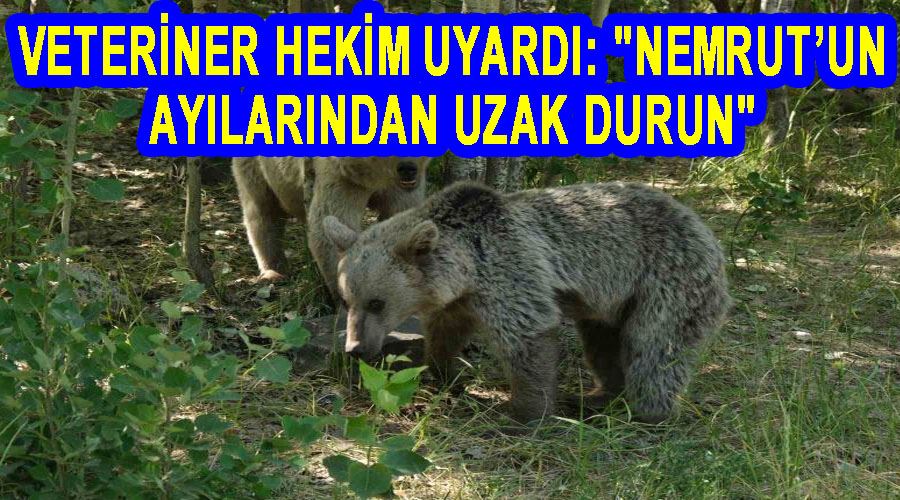 Veteriner hekim uyardı: 