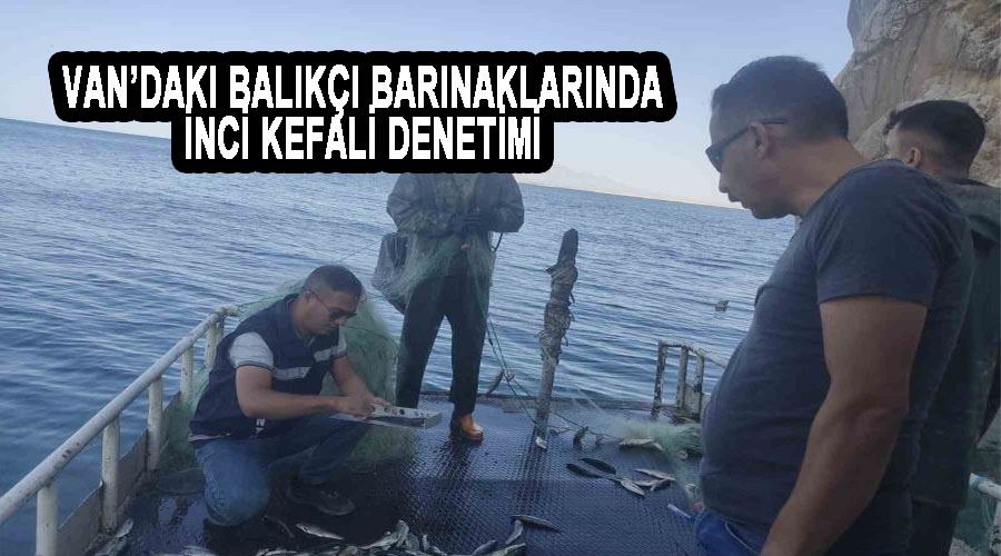 Van’daki balıkçı barınaklarında inci kefali denetimi