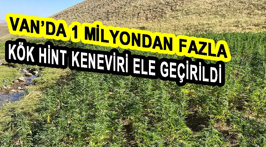 Van’da 1 milyondan fazla kök Hint keneviri ele geçirildi