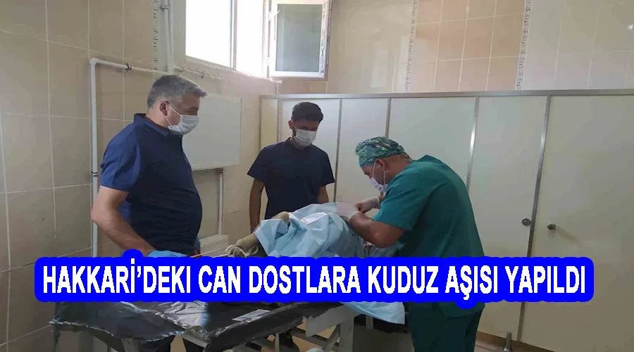 Hakkari’deki can dostlara kuduz aşısı yapıldı