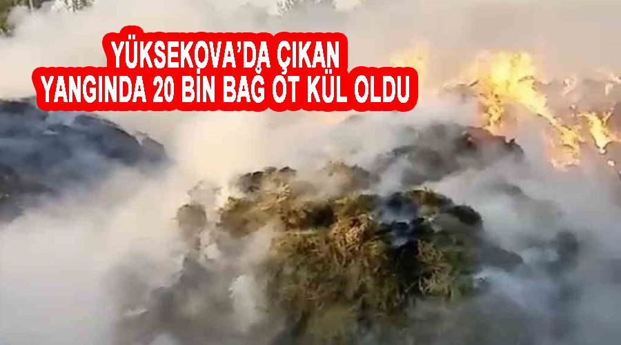 Yüksekova’da çıkan yangında 20 bin bağ ot kül oldu