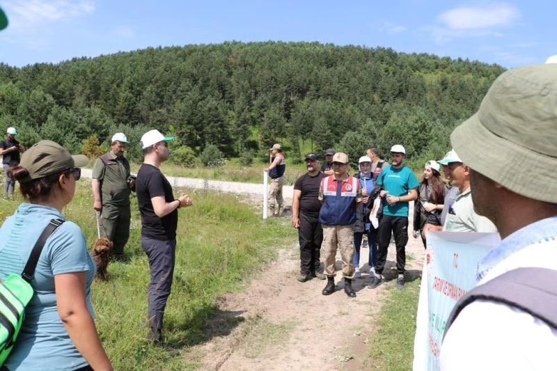 Posof ilçesinde kamp kurup doğa yürüyüşü yapıldı
