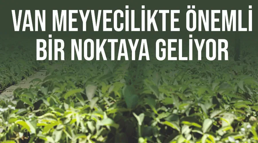 Van meyvecilikte önemli bir noktaya geliyor