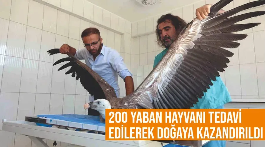 Van’da 200 yaban hayvanı tedavi edilerek doğaya kazandırıldı