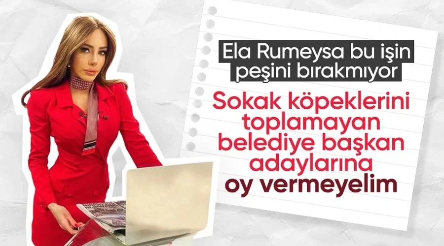 Ela Rumeysa Cebeci sokak köpeği sorununu gündemde tutmaya devam ediyor